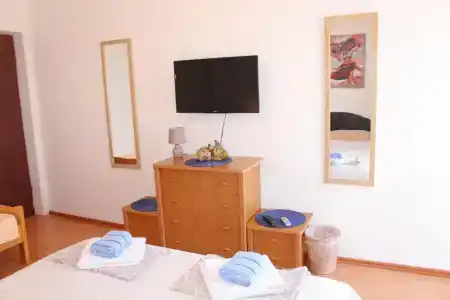 Guest House Tomanovic - 31