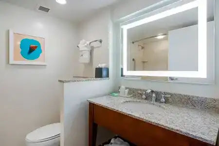Holiday Inn Orlando – Disney Springs™ Area, An Ihg - 104