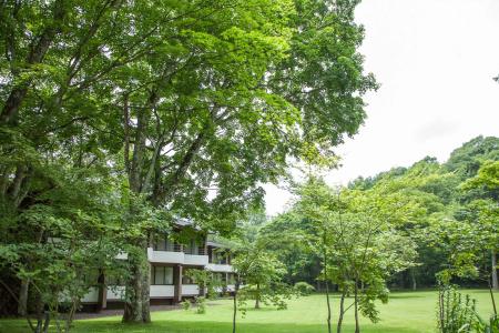 Kajima No Mori - 12