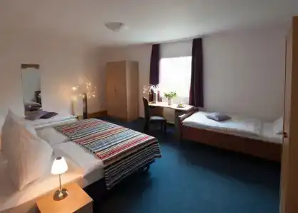 König - 30