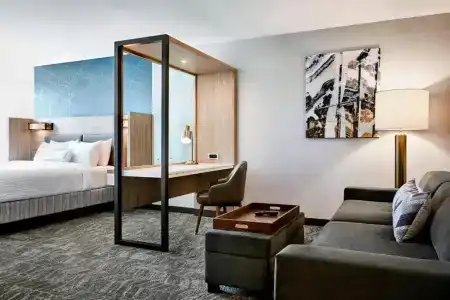 SpringHill Suites by Marriott Winter Park - 3