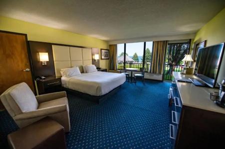 Holiday Inn Regency, An Ihg - 43