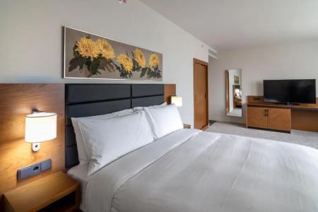 Hilton Garden Inn Tbilisi Chavchavadze - 55