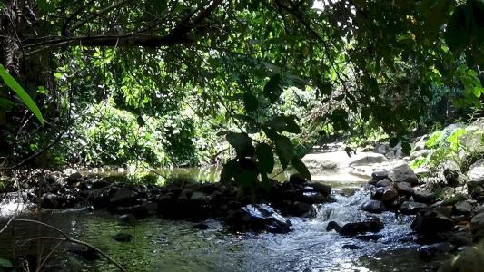 Tree Tops River Huts - 41