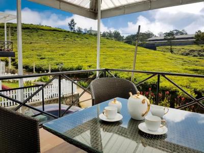 The Tea Garden - 62