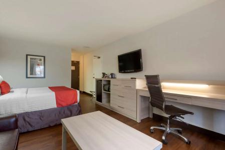Best Western Plus Village Park Inn - 55