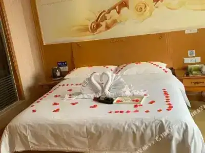 Vienna Dongguan Shi - 12
