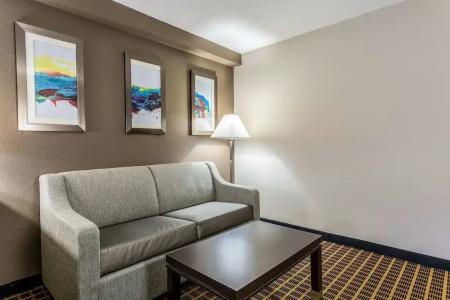Quality Inn & Suites I-10 - 45