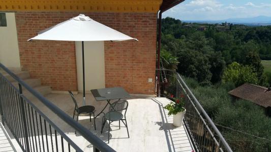 Vittoria Design - 19