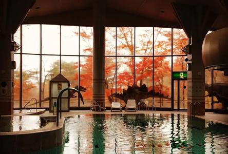 Blancvert Nasu Onsen - 11