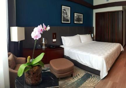 Holiday Inn Santo Domingo & Suites, An Ihg - 6