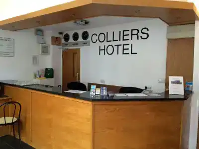 Colliers - 24