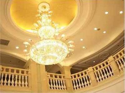 Vienna International (Shen Zhen Buji Dafen shop) - 17