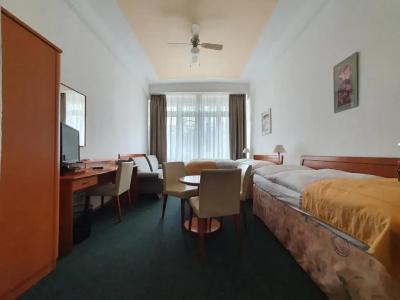 Jana / Pension Domov Mládeže - 27