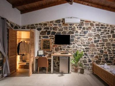 Balsamico Traditional Suites - 49