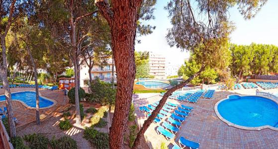 MLL Palma Bay Club Resort - 19