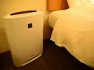 Fukuoka Floral Inn Nishinakasu - 5