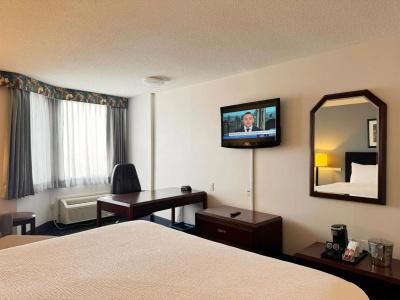 Ramada Plaza Airport and Conference Centre - 2