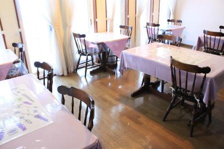 Pension Lavender - 16