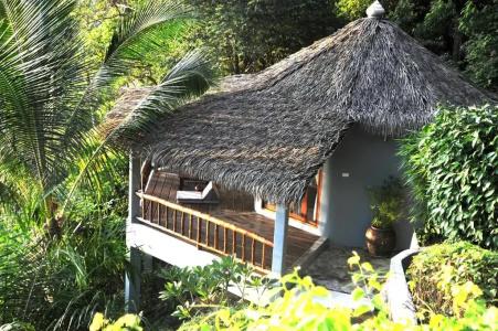 The Jungle Club - Sha Extra Plus - 50