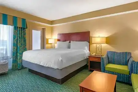 Holiday Inn Resort Orlando - Lake Buena Vista, An Ihg - 49