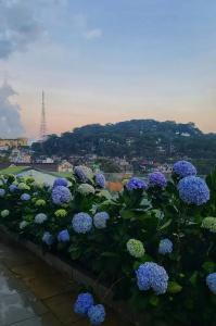 The Luxe Da Lat - 305
