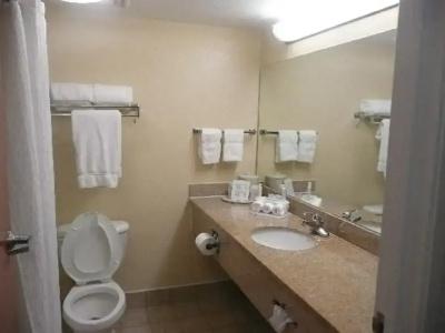Comfort Inn - 54