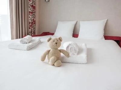 Mercure Clermont Ferrand centre Jaude - 108