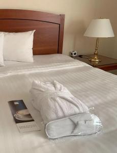 Leipzig Marriott - 74