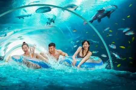 Resorts World Sentosa - Hard Rock (Sg Clean) - 67