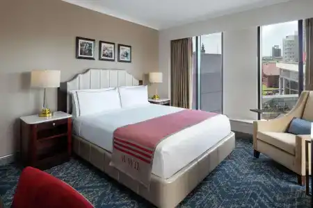 The Higgins New Orleans, Curio Collection By Hilton - 8