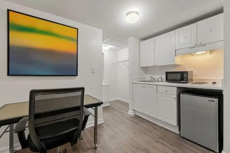 Extended Stay Studios - 28