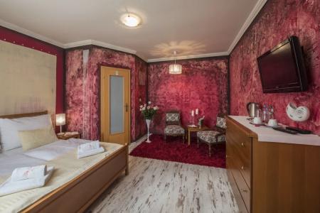 Pension Vila Mery - 38