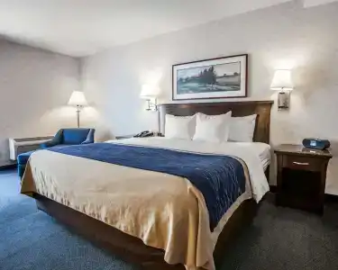 Comfort Inn - 50