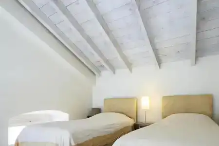 Lila - 5