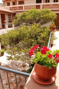 Boutique La Posada - 6