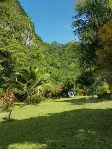 Phanom Bencha Mountain Resort - 7