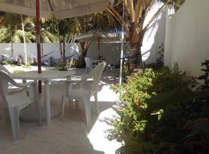 Palm Garden - 14