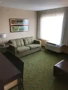 TownePlace Suites by Marriott South/Hamburg Place - 49