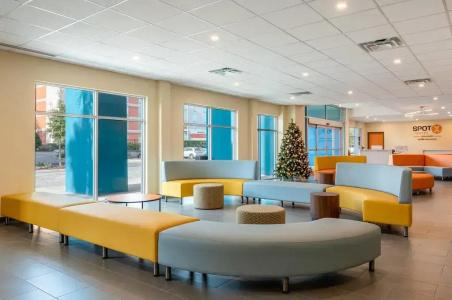 Spot x By Red Collection Orlando International Dr - 23