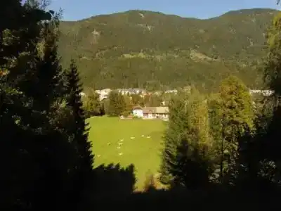 Farm Košir - 10