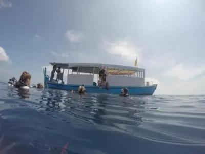 Island Host - 15