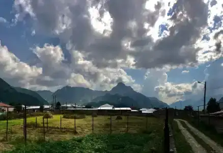 Bibos kokhi - 9