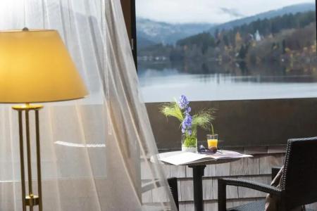 Maritim Titisee - 118