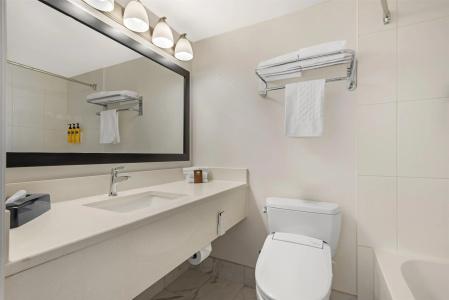 Best Western Plus Suites Downtown - 44