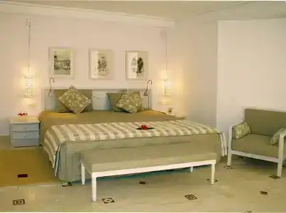 The Sindbad - 37