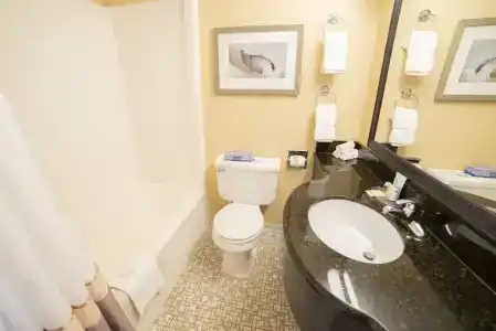 Holiday Inn Express & Suites Virginia Beach Oceanfront, An Ihg - 28