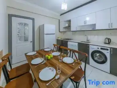 Afyon Dundar Thermal Villa - 21