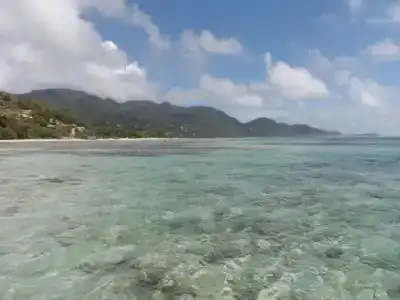 Castaway Lodge - 13