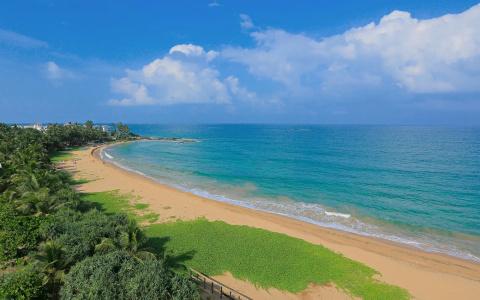 Pandanus Beach Resort & Spa - 29